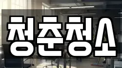 청춘청소