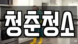 청춘청소