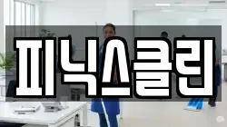 피닉스클린