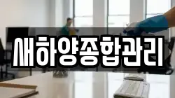 새하양종합관리