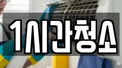1시간청소