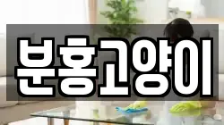 분홍고양이