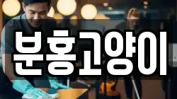 대구 동구 대림동 청소,입주청소,사무실청소,에어컨청소,특수청소,상가청소,거주청소,유품정리