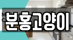 분홍고양이