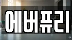 에버퓨리