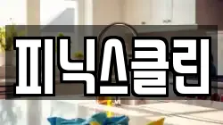 피닉스클린