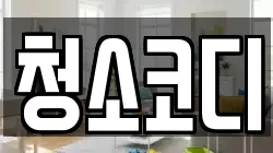 청소코디