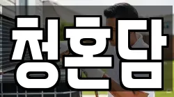 청혼담