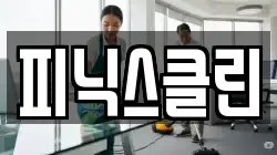 피닉스클린