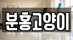 분홍고양이