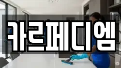 카르페디엠