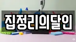 집정리의달인