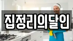 집정리의달인