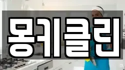 몽키클린