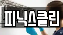피닉스클린