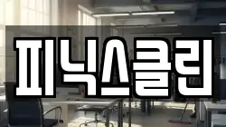 피닉스클린