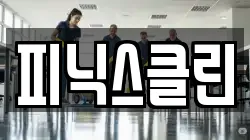 피닉스클린