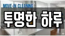 투명한 하루