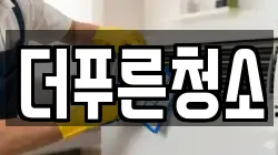 더푸른청소