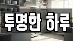 투명한 하루