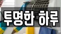 투명한 하루