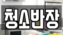 청소반장