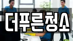 더푸른청소