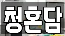 청혼담