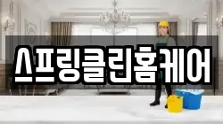 스프링클린홈케어