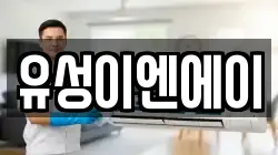 유성이엔에이