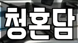 청혼담