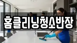 홈클리닝청소반장