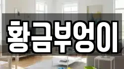 황금부엉이