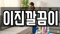이진깔끔이