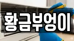 황금부엉이