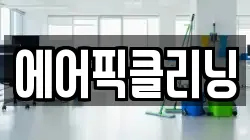 에어픽클리닝