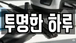 투명한 하루