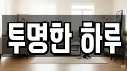투명한 하루