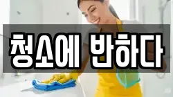 청소에 반하다