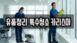 유품정리 특수청소 카리스마