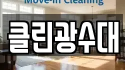 클린광수대