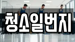 청소일번지