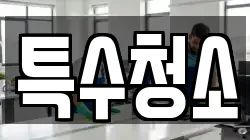 특수청소