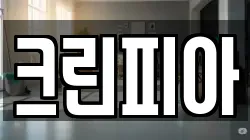 대구 수성구 수성동3가 청소,입주청소,사무실청소,에어컨청소,특수청소,상가청소,거주청소,유품정리