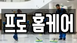프로 홈케어