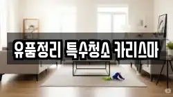 유품정리 특수청소 카리스마