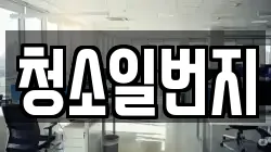 청소일번지