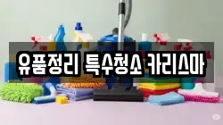 유품정리 특수청소 카리스마