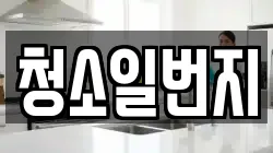 청소일번지
