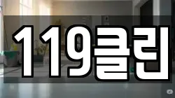 119클린